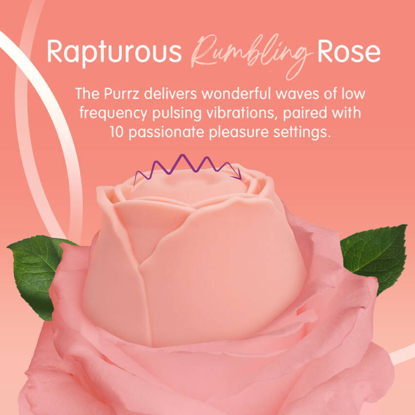 Skins Rose Buddies - The Rose Purrz - Image 6